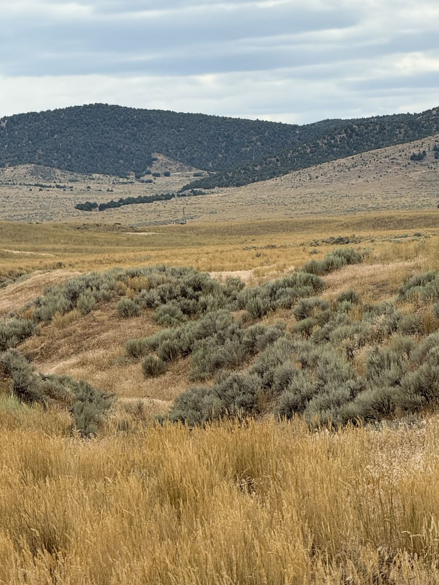 Beautiful 20 acres just south of Yuba Lake