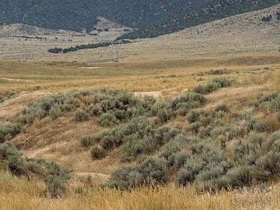 Beautiful 20 acres just south of Yuba Lake