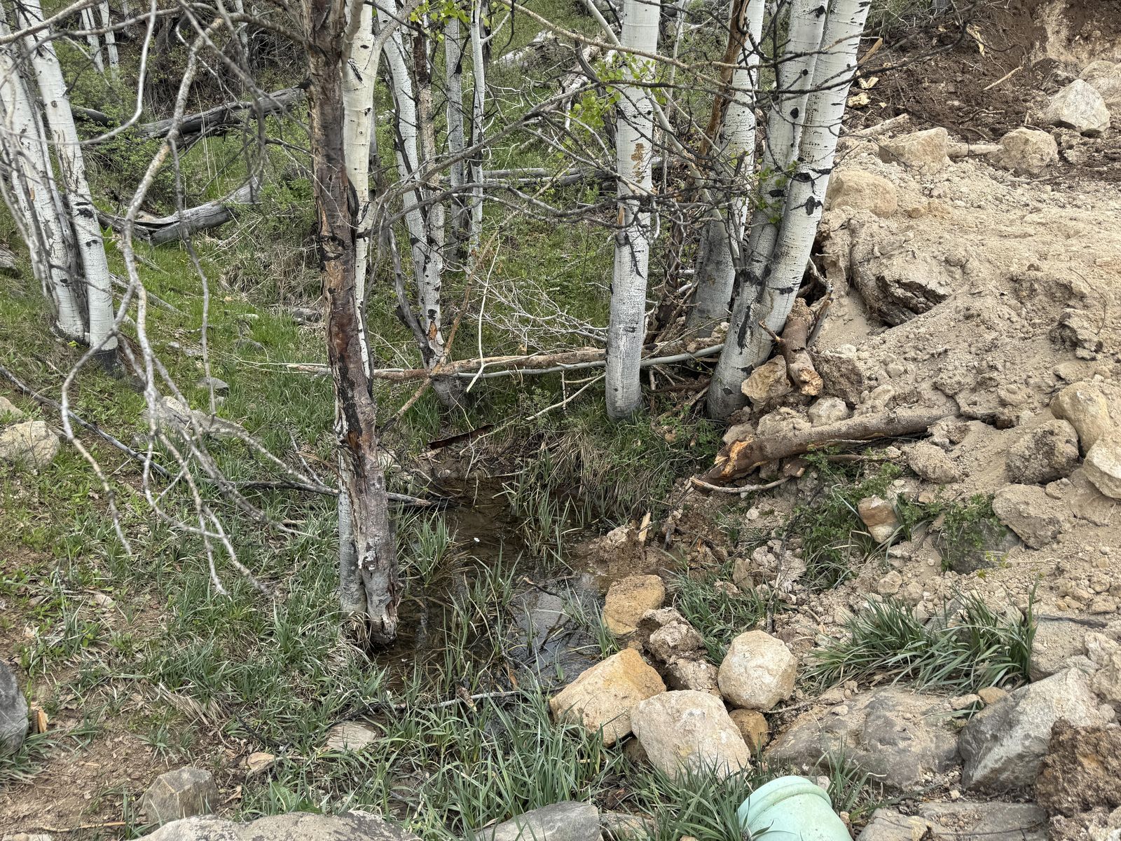 Main image 7