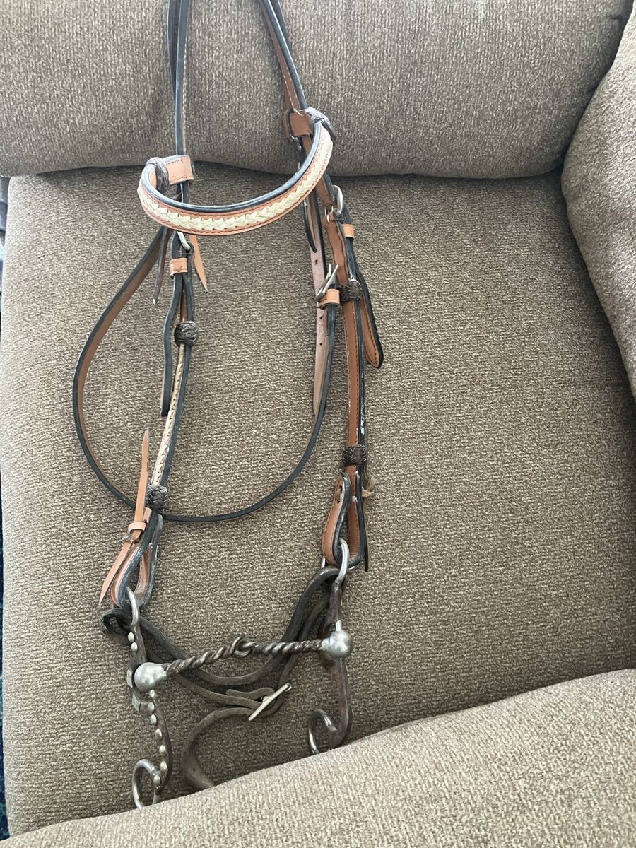 Gorgeous light oil headstall and bit