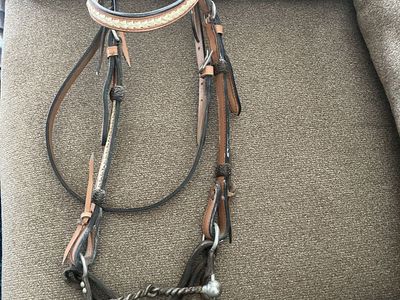 Gorgeous light oil headstall and bit