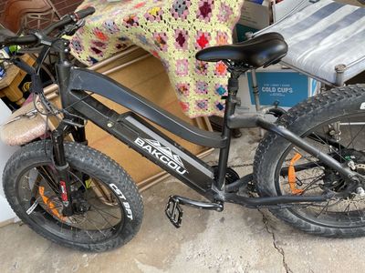 Electric bike Bakcou