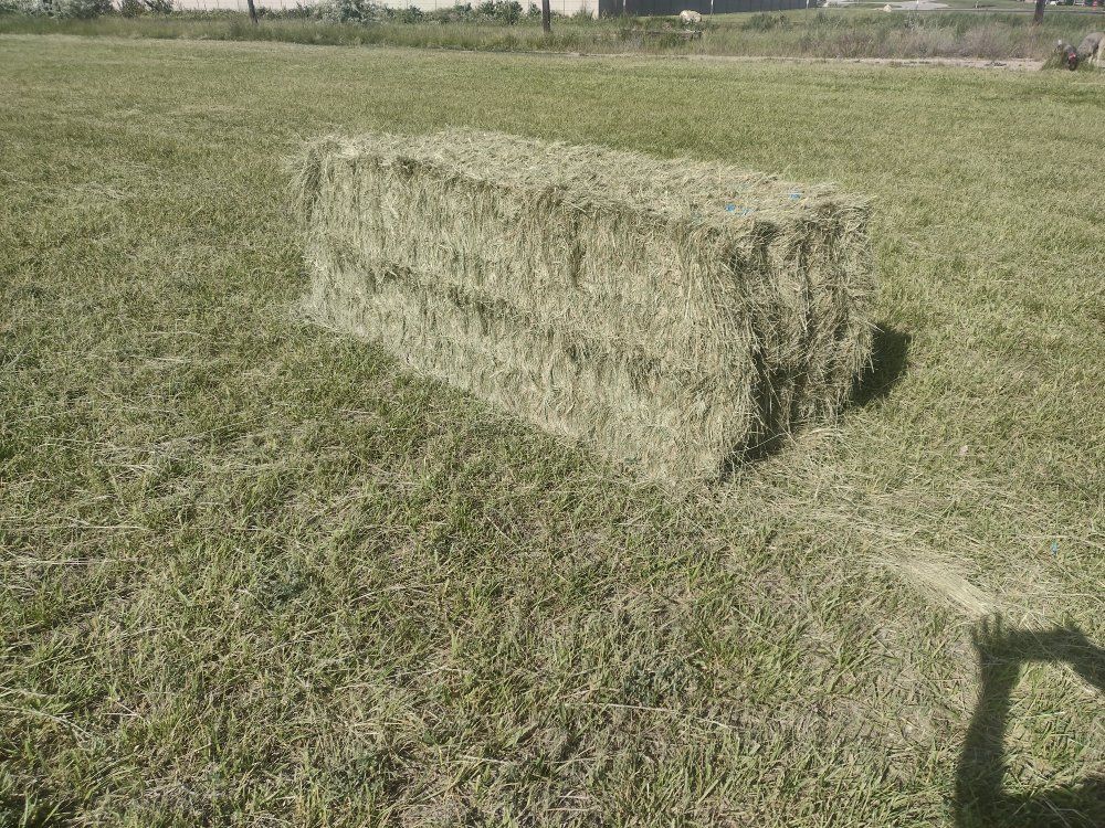 3x3x8 grass hay
