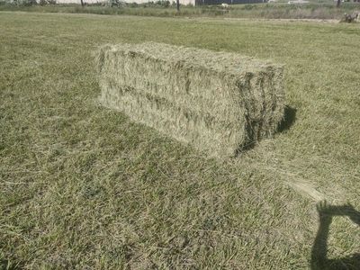 3x3x8 grass hay