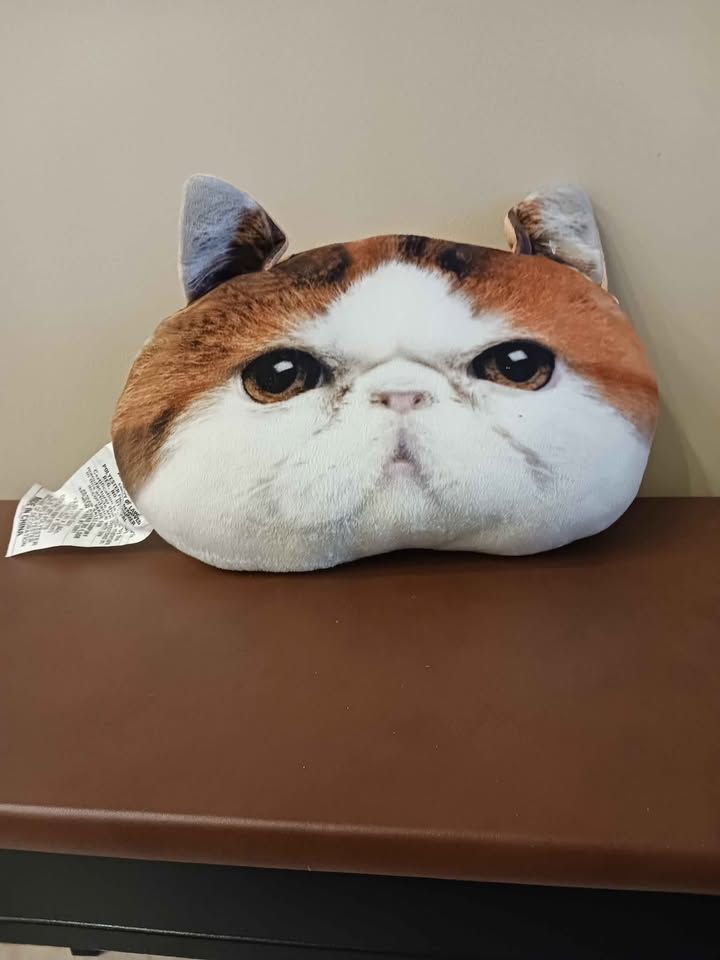 Cat Head Pillow
