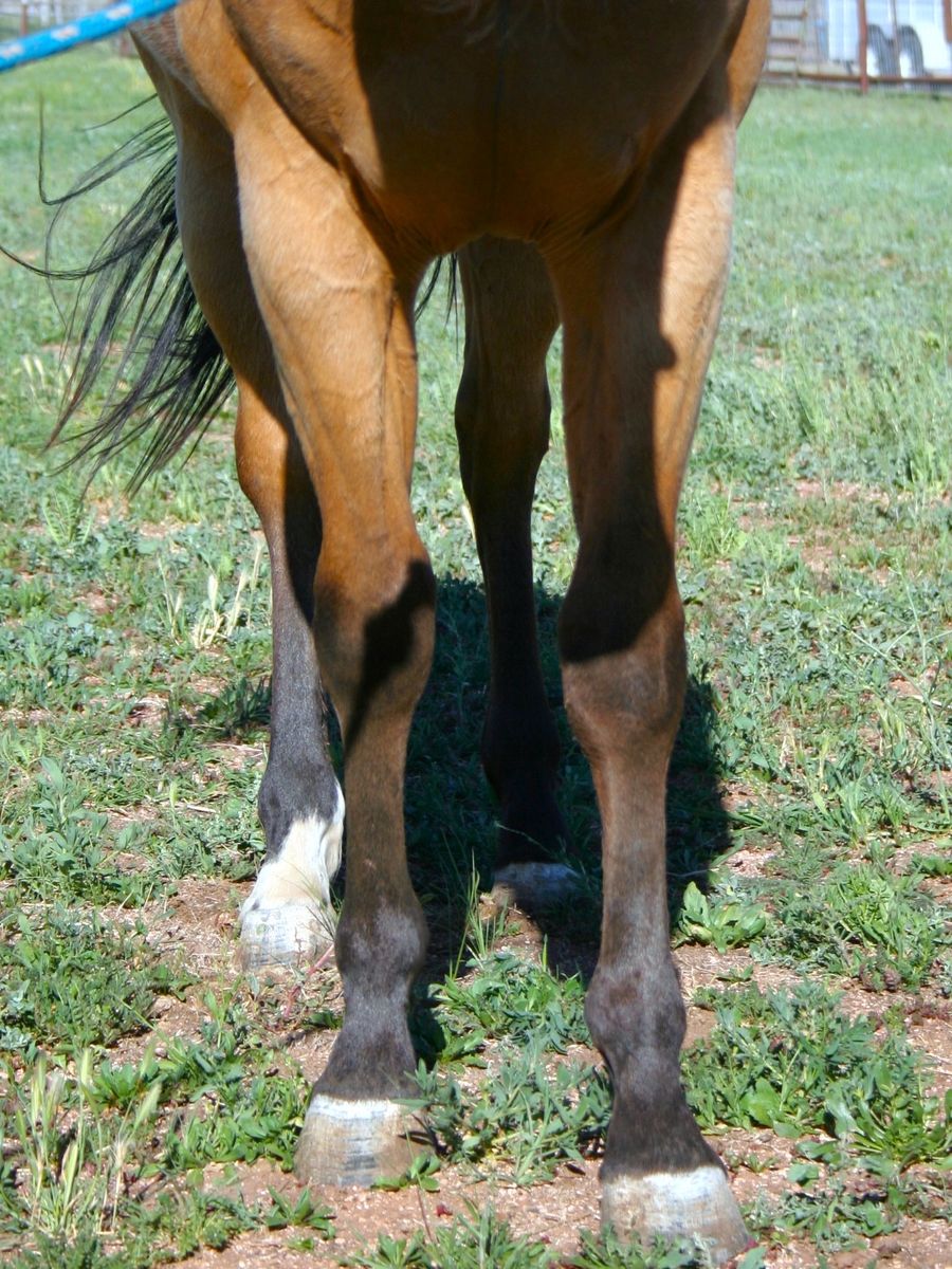 Main image 4