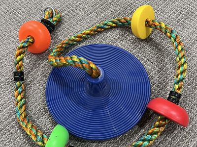 Kids Outdoor Tree Swing Seat with Climbing Rope & Platform Disc - Multi-Color
