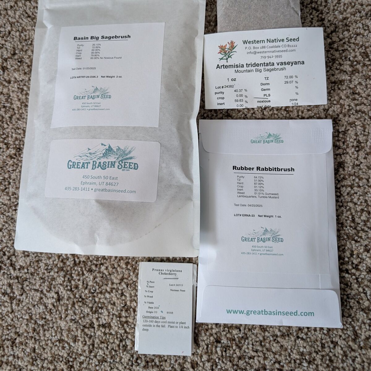 Native Seeds (Sagebrush, Rabbitbrush, Chokecherry)