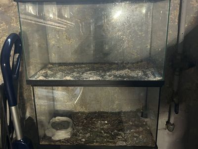 Reptile Tanks