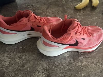 Nike Air Zoom Pegasus 41