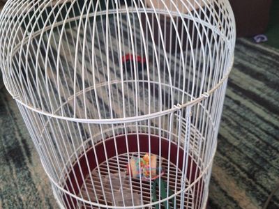 Prevue Pet Products Small Round Bird Cage - Red SP3199R