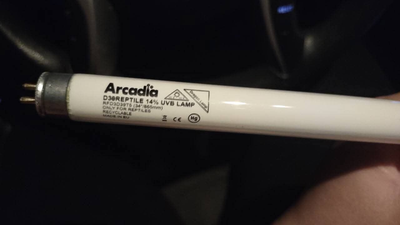arcadia linear uvb for reptiles OBO