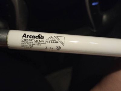 arcadia linear uvb for reptiles OBO