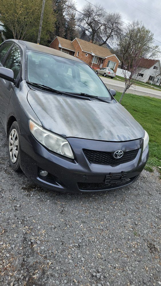 2009 TOYOTA COROLLA LE