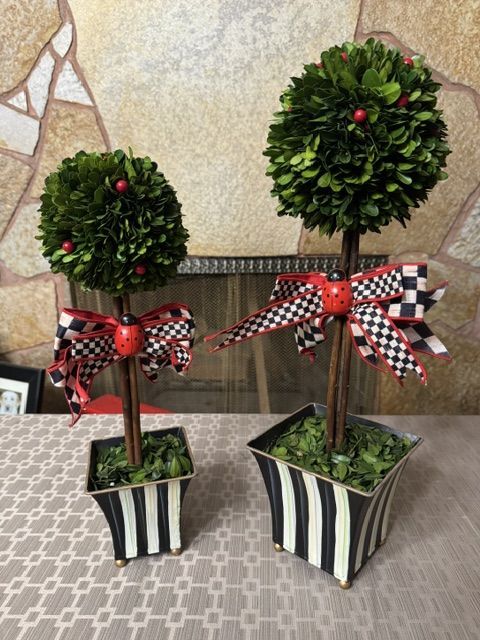 Mackenzie-Childs Set of 2 Preserved Boxwood Topiary Trees with Ladybug & Checked Bows (large/medium)