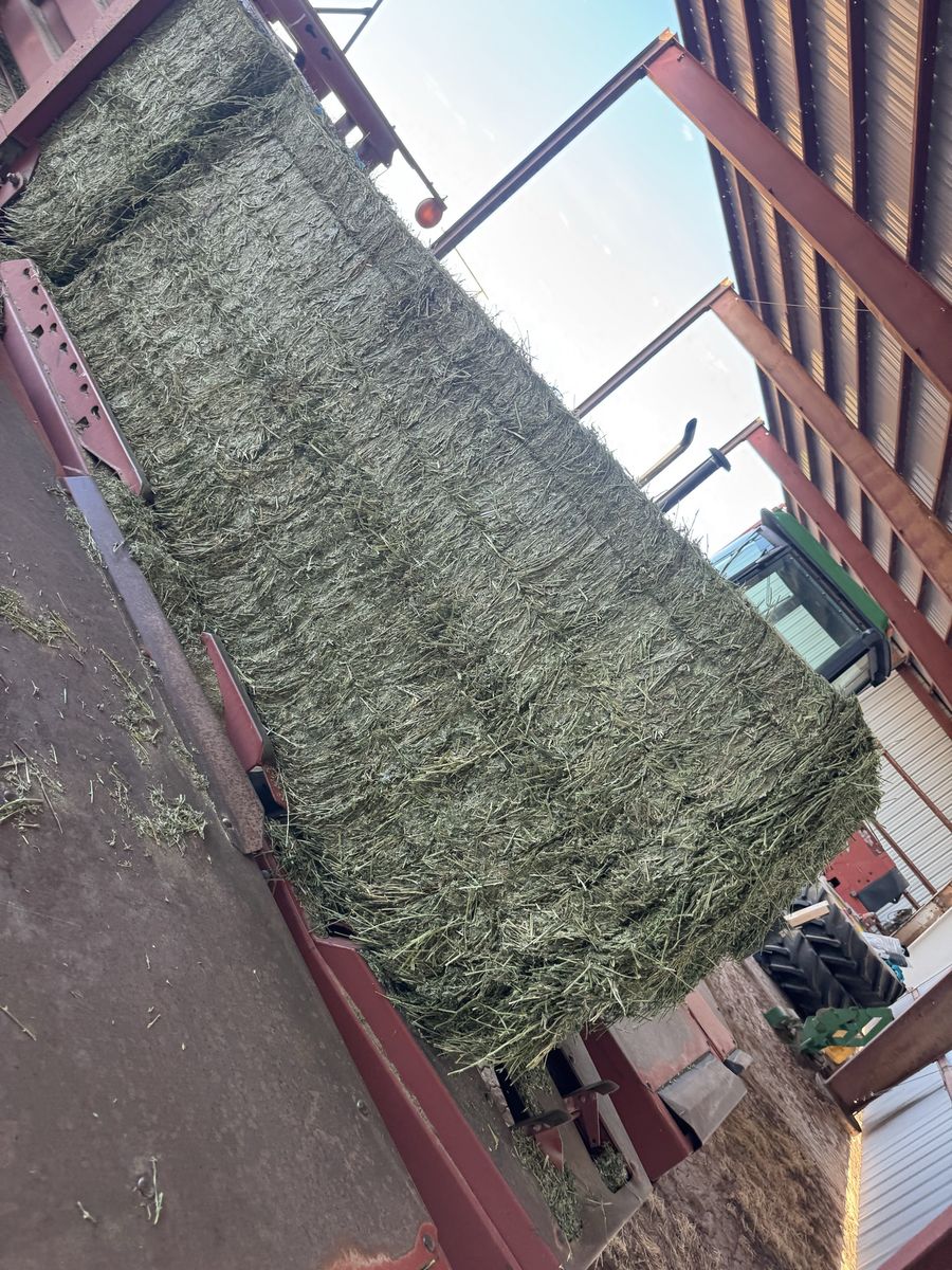 Hay