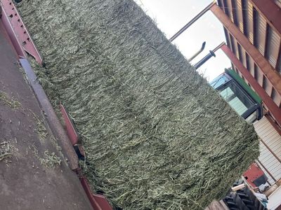 Hay