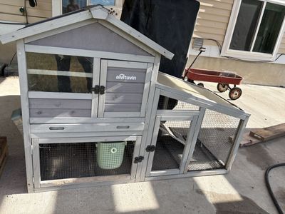 Rabbit Hatch