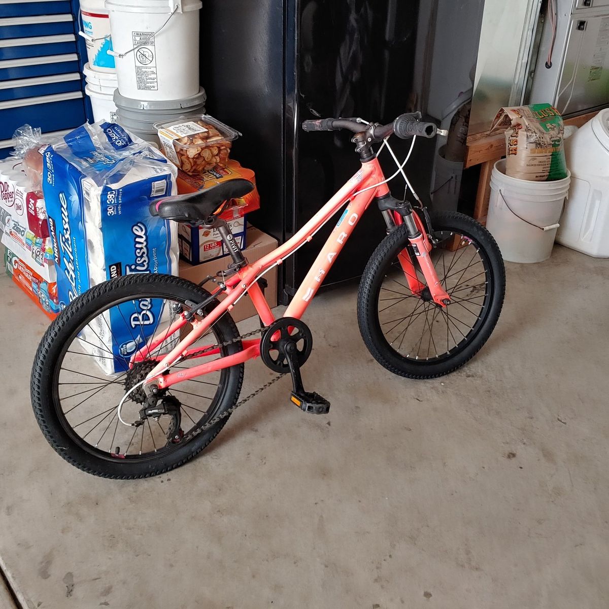 Haro Flightline 20"  Kids Mountain Bike