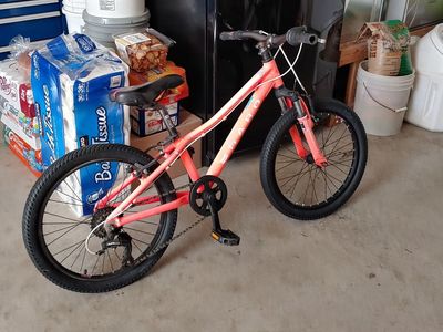 Haro Flightline 20" Kids Mountain Bike