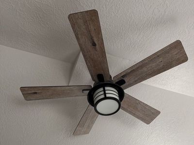 Ceiling fan