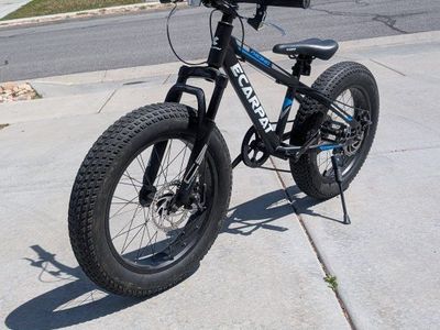 20 inch fat tire 7 speed bike