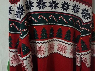 New adult Children's Place Christmas sweater