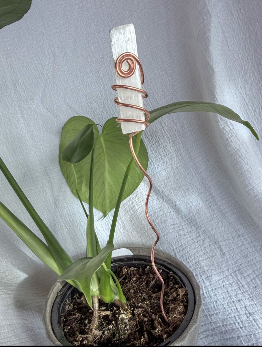 Selenite Wand Copper Plant Stake