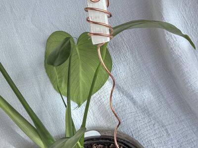 Selenite Wand Copper Plant Stake