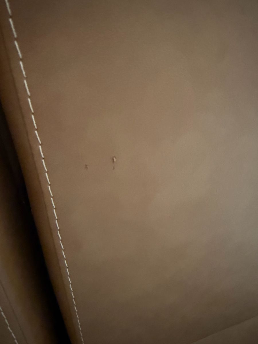 Main image 6