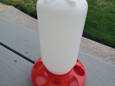 Chick feeder - new