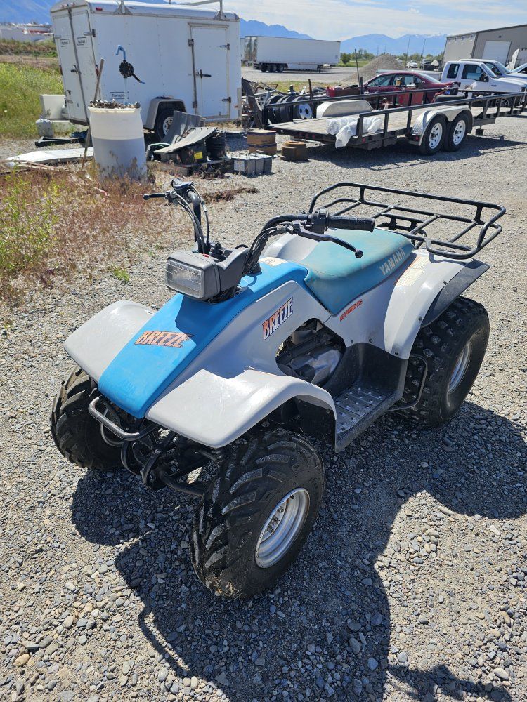 1994 yamaha breeze.