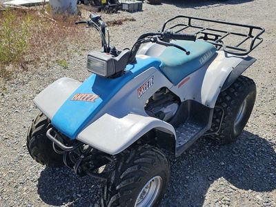 1994 yamaha breeze.