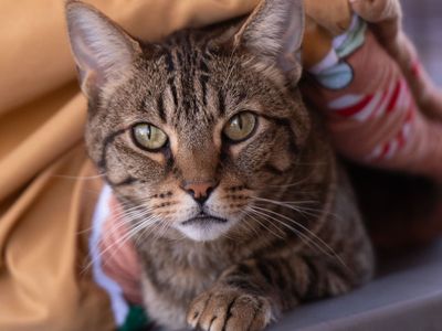 Hello my name is Imu