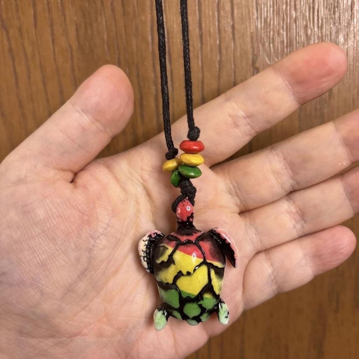 Rasta Turtle Necklace with black Cord Colorful Unique Pendant