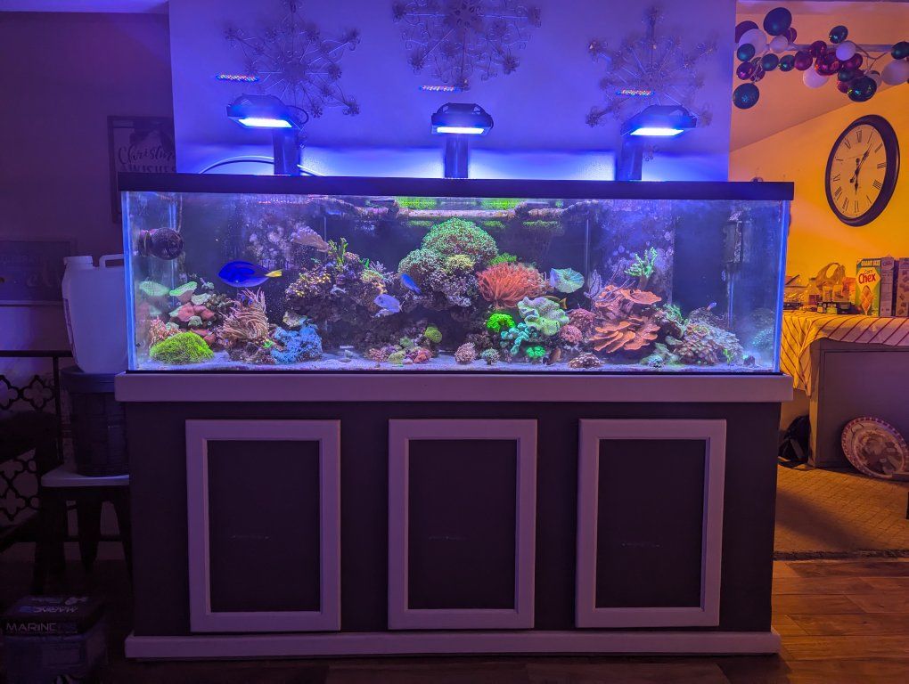 Main image 5