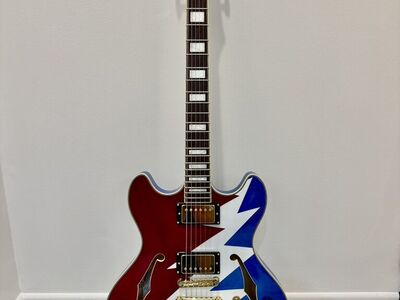 D'Angelico Premier Grateful Dead DC Guitar *NEW*