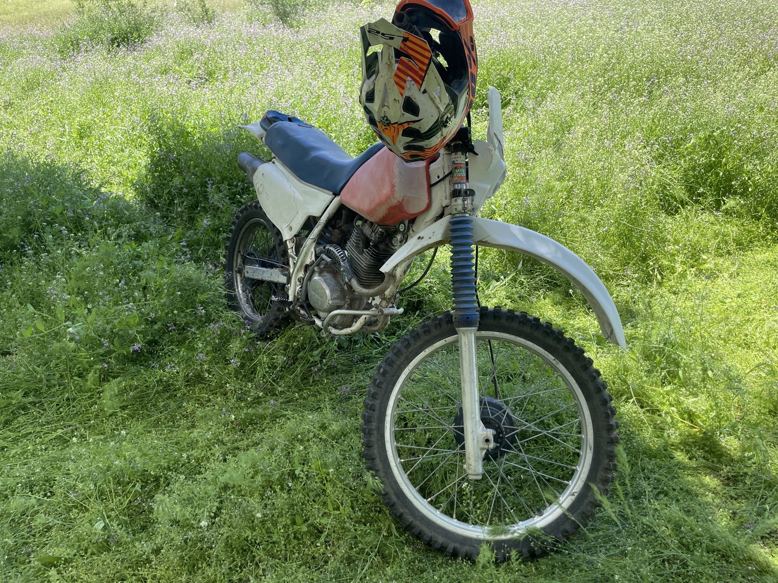 Main image 2