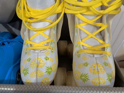 Circle Society Adjustable Kids Roller Skates, Size