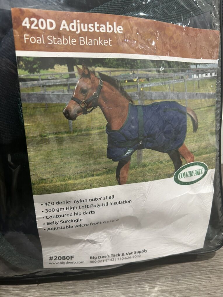 Foal Blanket