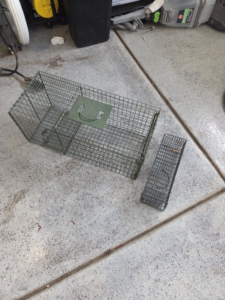two Metal Live Trap for medium ans Small Animals - Humane Catch & Release for Nuisance Wildlife