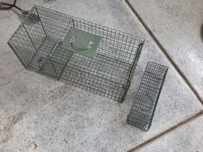 two Metal Live Trap for medium ans Small Animals - Humane Catch & Release for Nuisance Wildlife