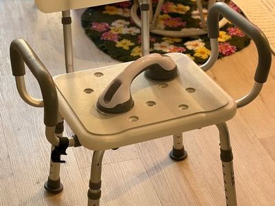 Shower chair and handle