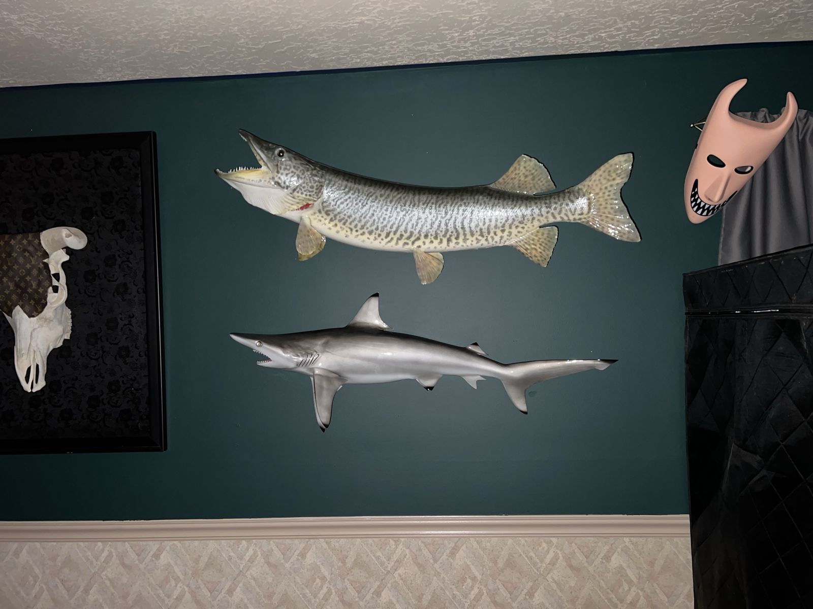 Taxidermy Shark