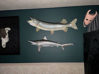 Taxidermy Shark