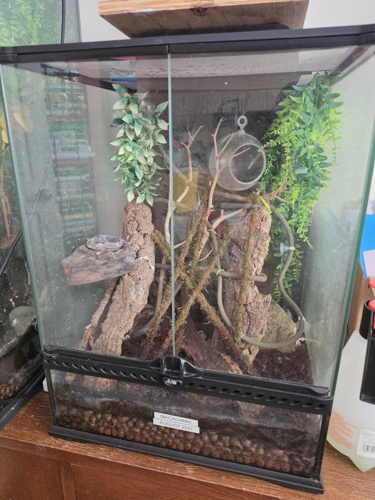 Main image 3