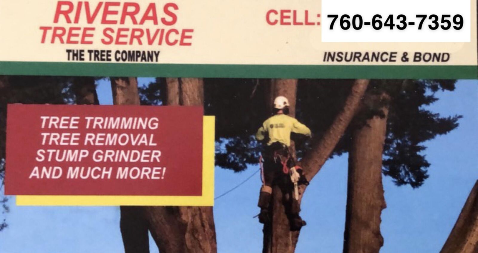 Rivieras Tree Service