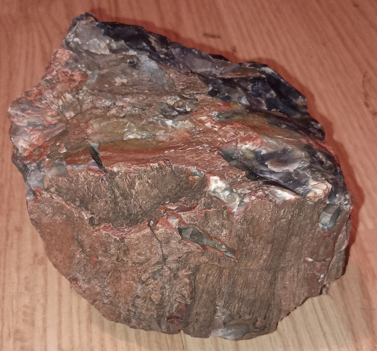 Petrified wood 