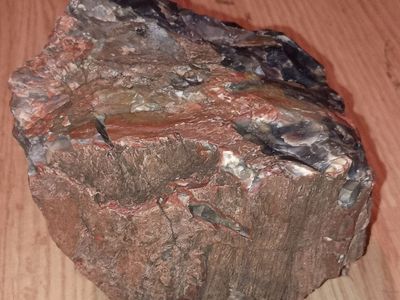 Petrified wood