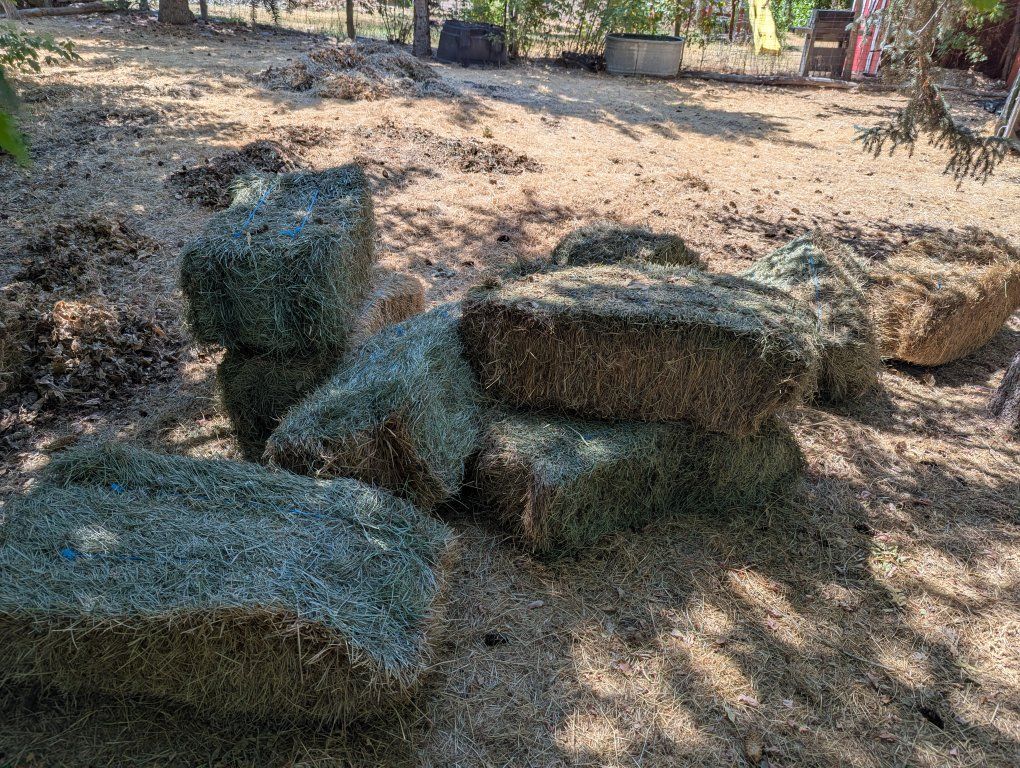 free grass hay, small bails in American Fork
